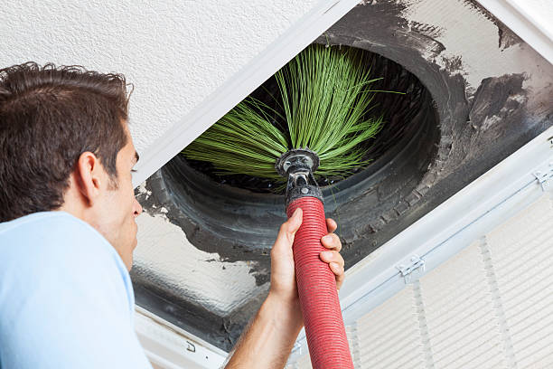 Best Home Air Vent Cleaning  in Rainbow, CA